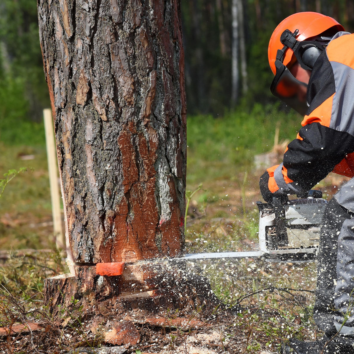 UNCO wedges in professional forestry use scenarios