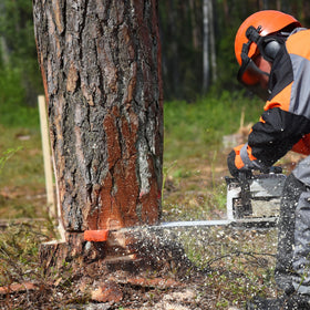 UNCO wedges in professional forestry use scenarios