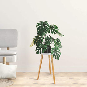 Uneedem easy assembly three-leg setup enables quick setup