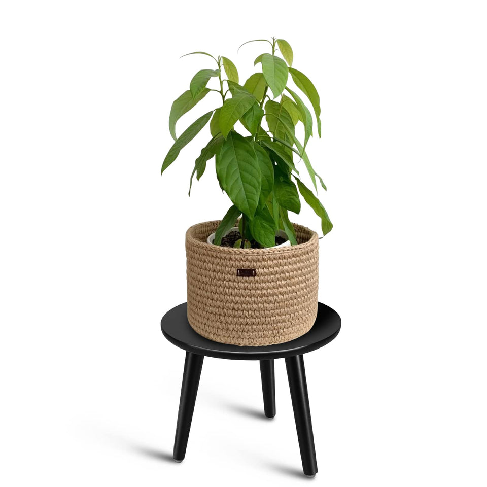 Uneededem plant stand with round top showcases compact indoor display for pots