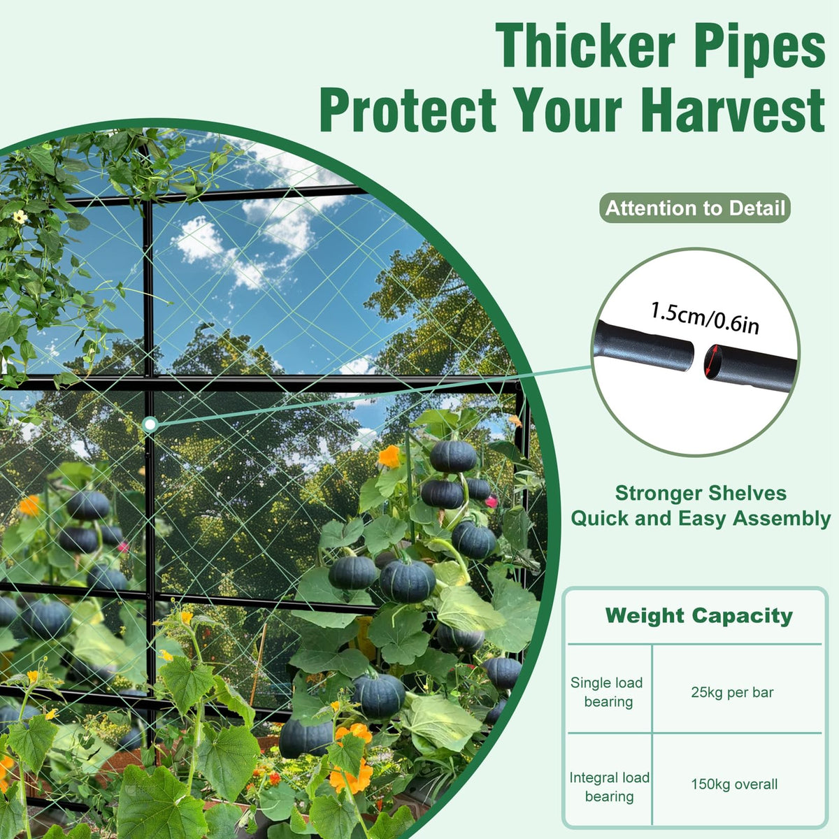 Unho powder-coated metal frame for durable garden arch