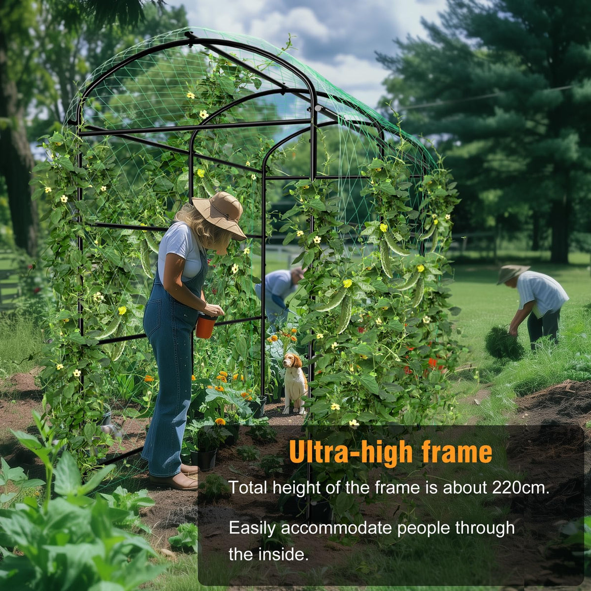 Unho walk-through garden arch enhances entry and aesthetics