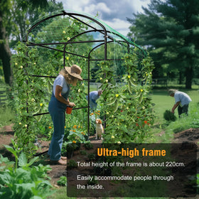 Unho walk-through garden arch enhances entry and aesthetics