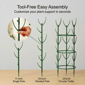 Unijoy pothos climber support aids trailing vines without crowding stems.