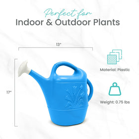 Union indoor-outdoor watering can suitable for houseplants and patio pots.