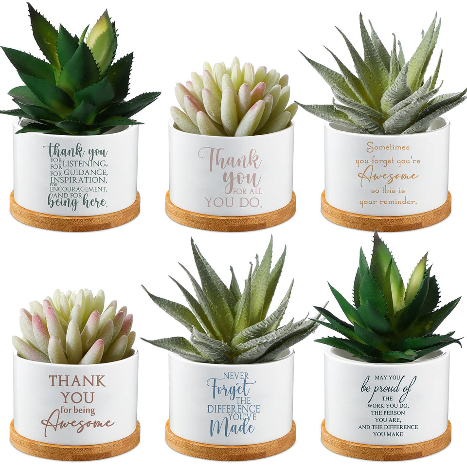 Unittype ceramic succulent pot for desk decor and compact plant display.