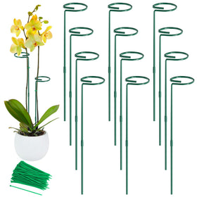 Unves 24-inch plant stake for sturdy single-stem support indoors and outdoors.