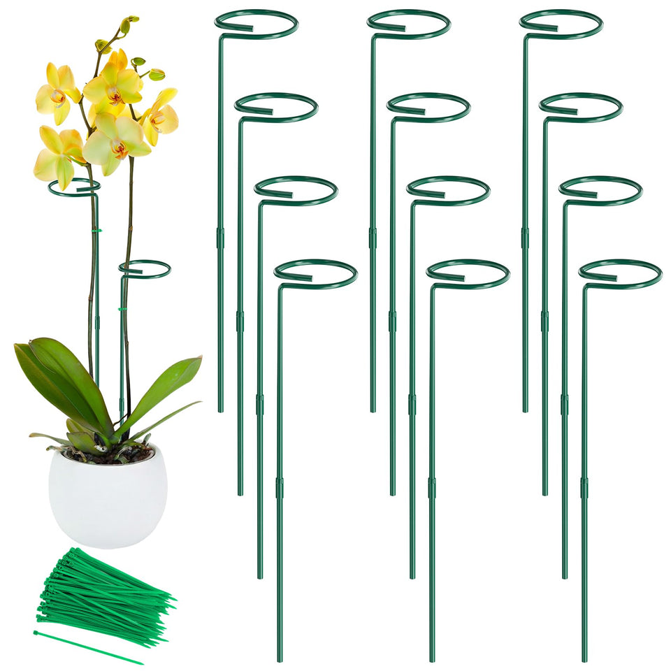 Unves 24-inch plant stake for sturdy single-stem support indoors and outdoors.