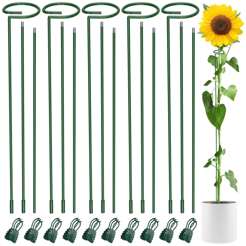Unves 36-inch plant stake set for upright garden support