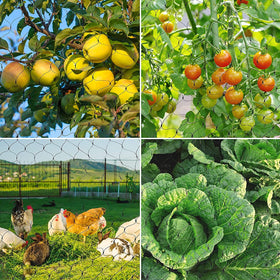 Unves easy-install netting can be cut to fit various garden shapes