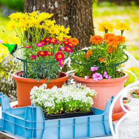 Unves garden kit combines cages, clips, and labels for organized outdoor displays.