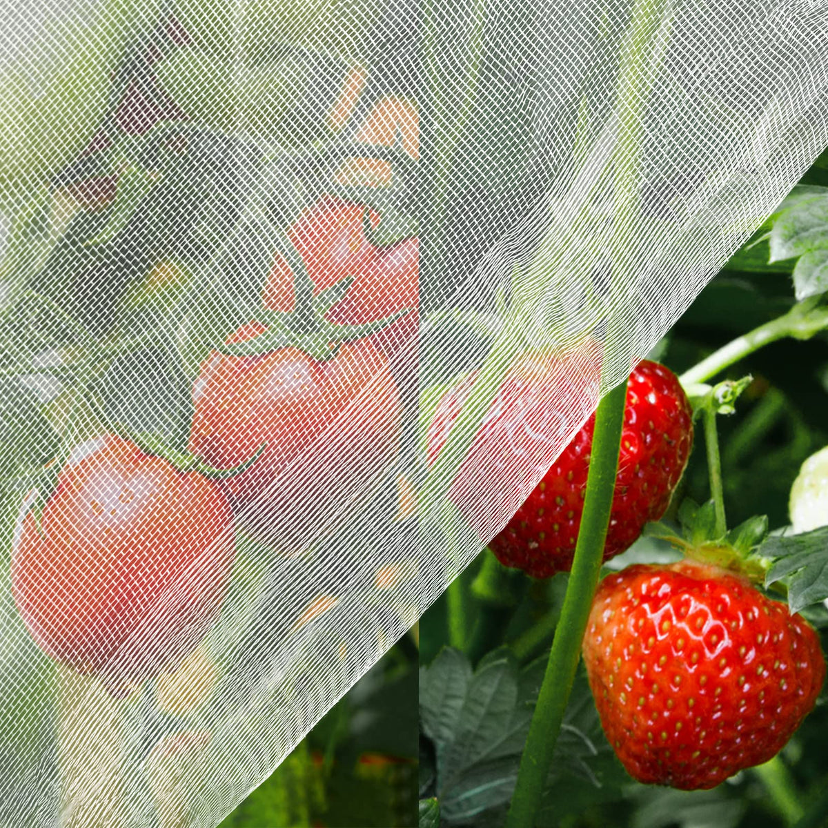 Unves garden netting 8x10ft protects vegetables with breathable mesh.