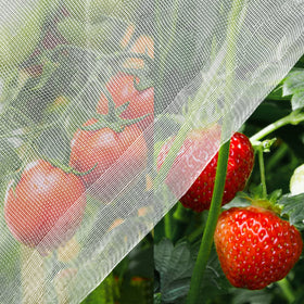 Unves garden netting 8x10ft protects vegetables with breathable mesh.