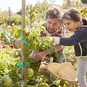 Unves garden tape reusable and weather-resistant for long-lasting use.