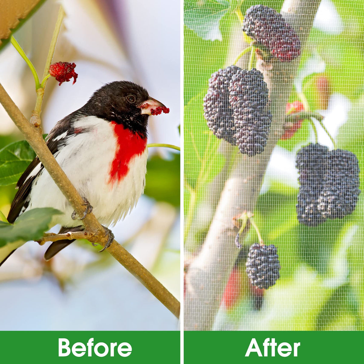 Unves insect mesh barrier for plants keeps birds and pests at bay while allowing light.