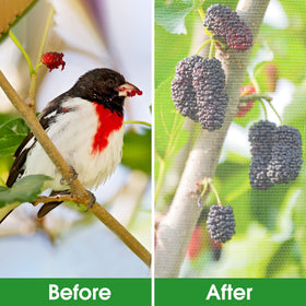 Unves insect mesh barrier for plants keeps birds and pests at bay while allowing light.