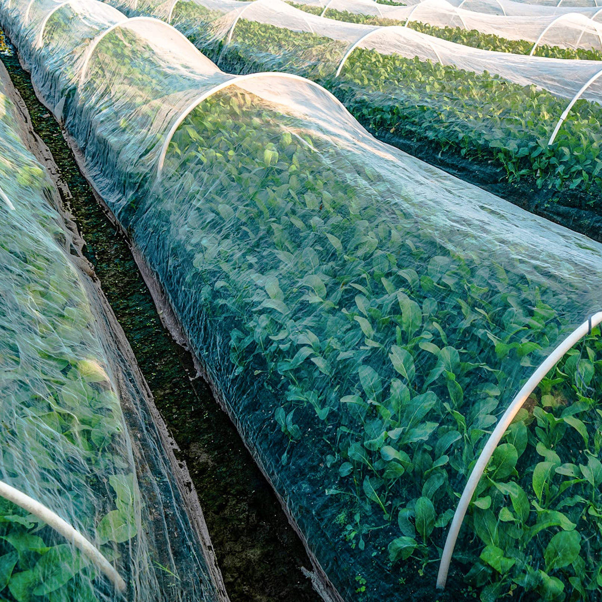 Unves durable mesh keeps nurseries and farms protected during spring and summer.