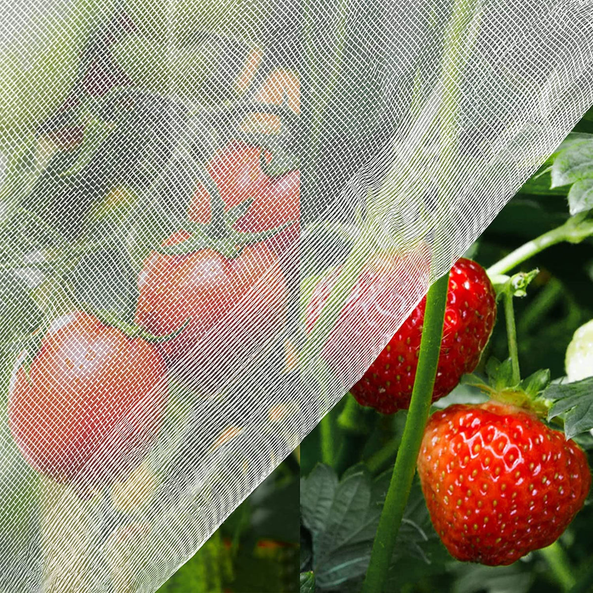 Unves mosquito netting in 6-5x10 size protecting garden plants from pests