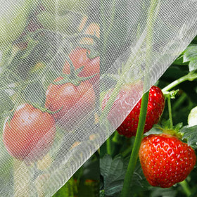Unves mosquito netting in 6-5x10 size protecting garden plants from pests