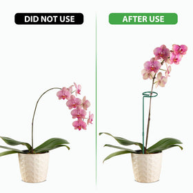 Unves grooved plant cage rings guide growth and protect delicate stems.