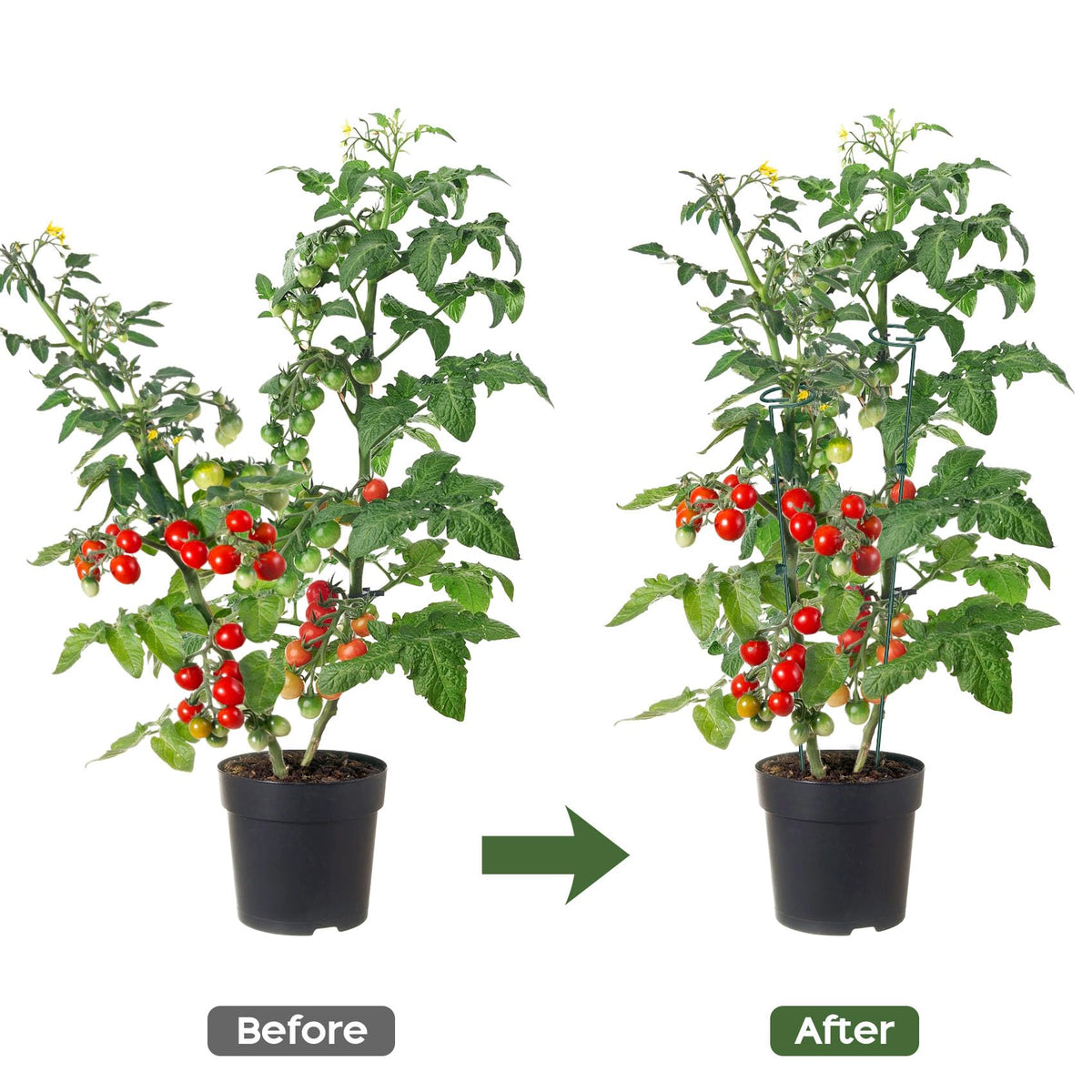 Unves 5-set plant stake package blends with greenery and supports growth