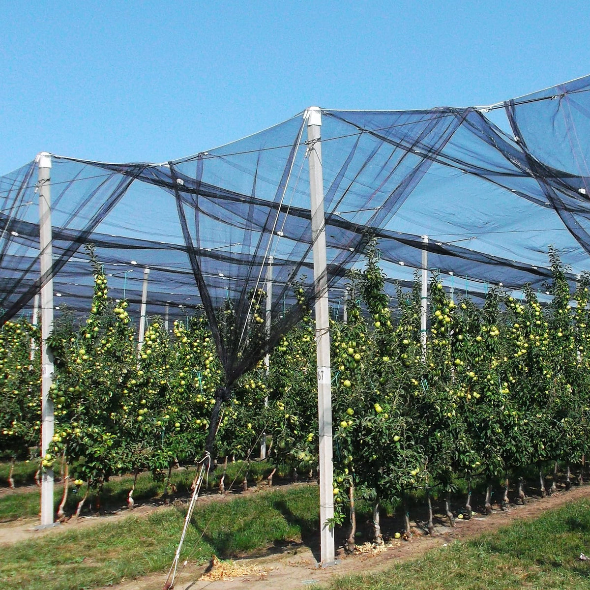 Unves premium polyester netting features dense mesh for durable garden protection.