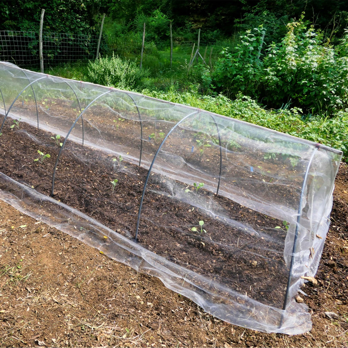 Unves raised-bed protection netting in practice.
