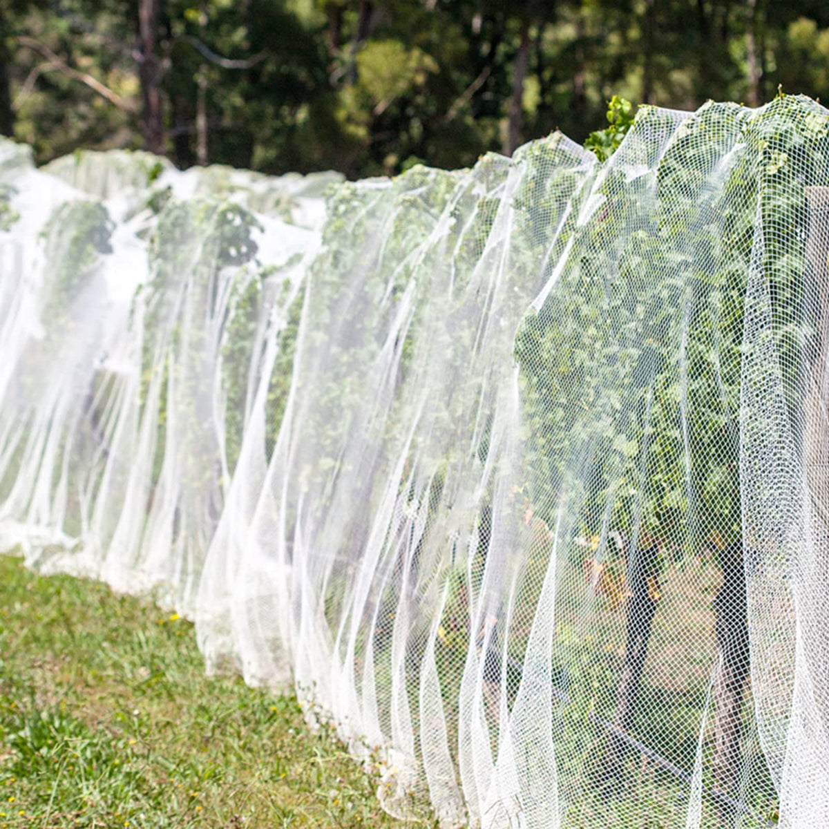 Unves raised beds netting fits garden beds and covers crops effectively.