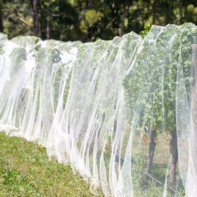 Unves raised beds netting fits garden beds and covers crops effectively.