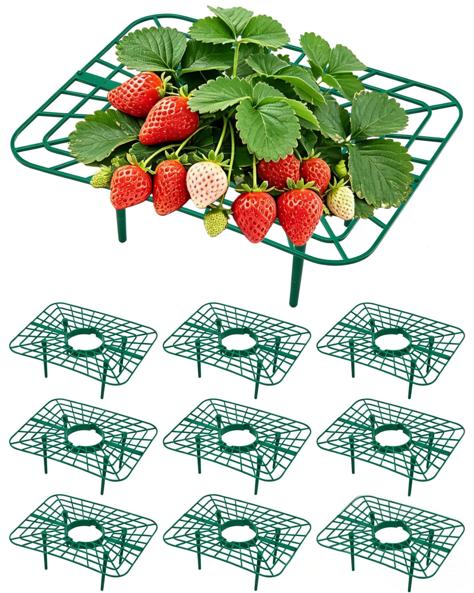 Unves strawberry plant support square stand elevates berries for airflow