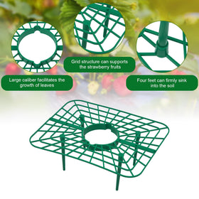 Unves container planting friendly strawberry plant support
