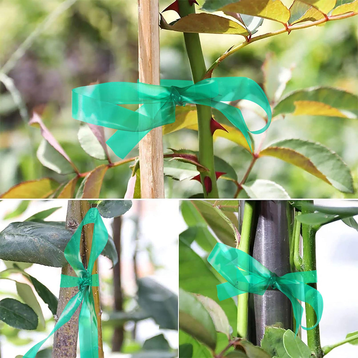 Unves tape supporting trees, flowers, and climbing plants with a subtle grip.