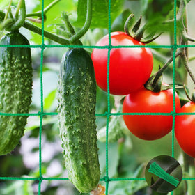 Unves Trellis Netting close-up of sturdy 4x4 inch mesh for heavy crops.
