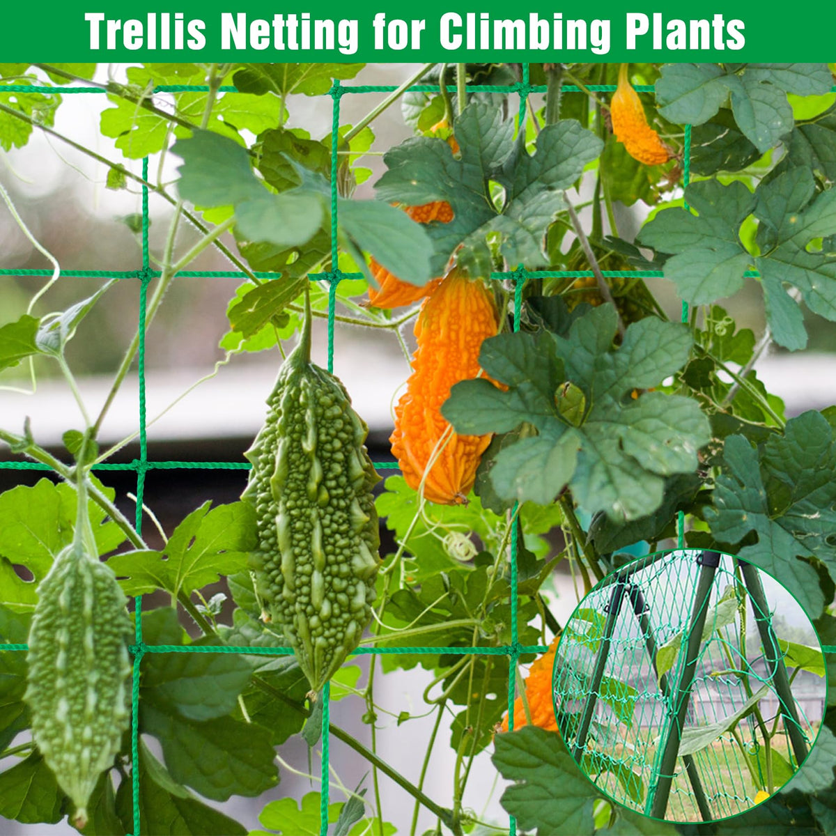 Unves Trellis Netting UV stabilized polyethylene for long-lasting outdoor use.