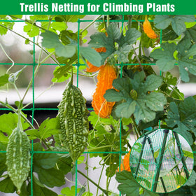 Unves Trellis Netting UV stabilized polyethylene for long-lasting outdoor use.