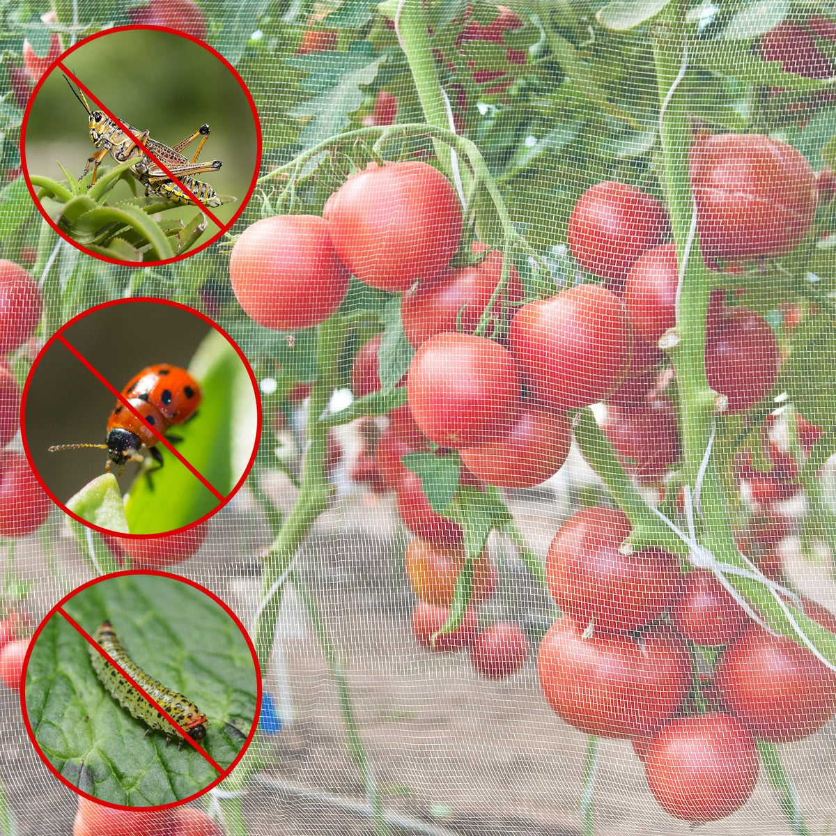 Unves ultra-fine mesh highlights 40-mesh per inch for fine pest protection