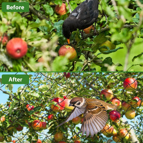 Unves UV-proof reusable netting offers year-round garden protection.