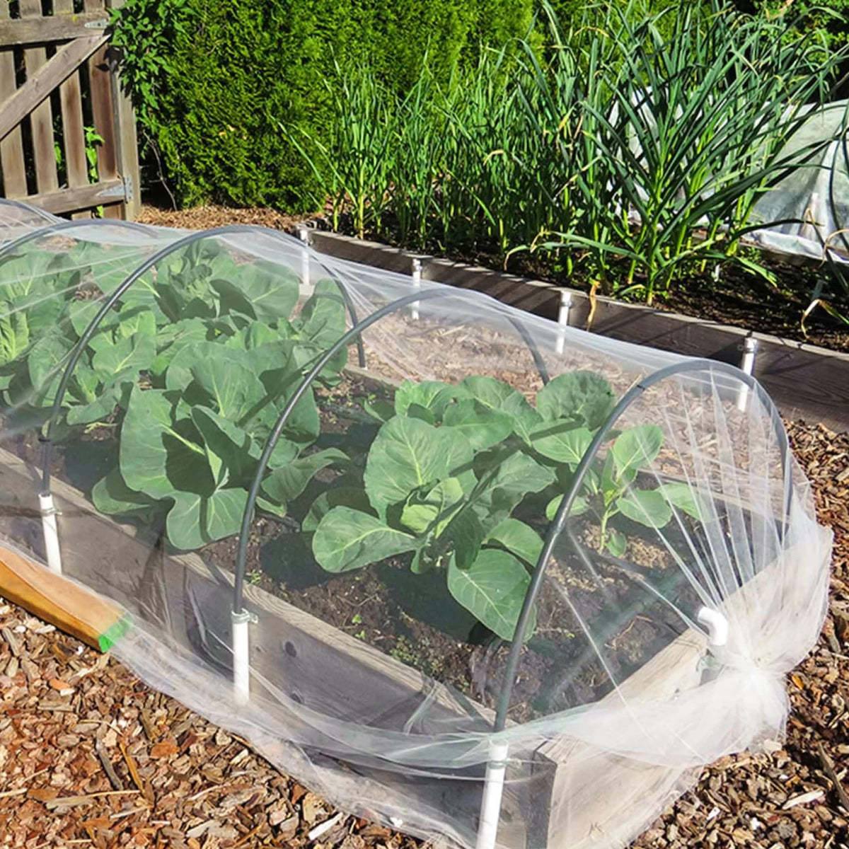 Unves garden netting ideal for raised beds and vegetable patches