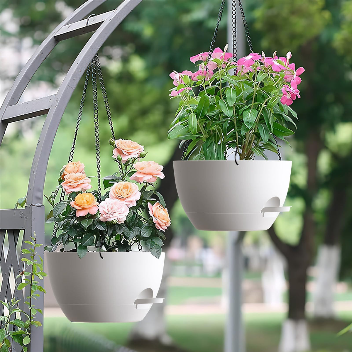 UOUZ versatile pot for ferns pothos and spider plants
