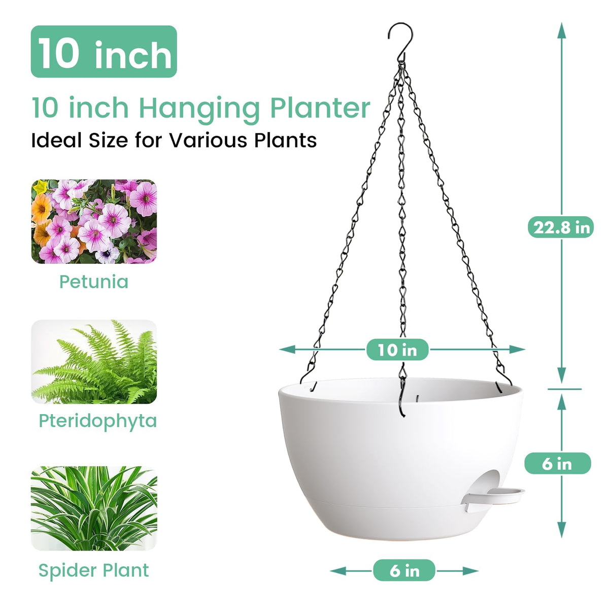 UOUZ 10-inch self-watering hanging planter shows built-in drainage and reservoir