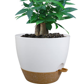 UOUZ 12-inch self-watering pot with deep reservoir for extended care.