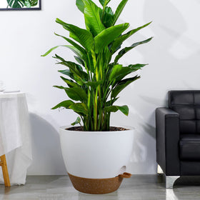 UOUZ pot designed for indoor and outdoor use.