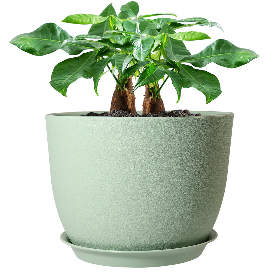 UOUZ 12-inch pot with matte exterior for contemporary decor.