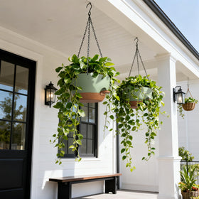 UOUZ hanging planter displaying cascading pothos in a sunny window.