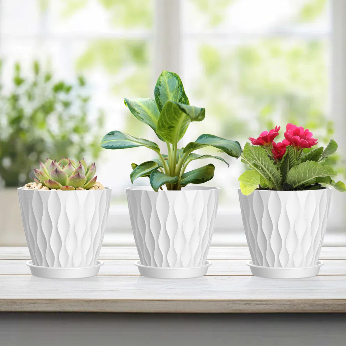 UOUZ six-pack plant pots with removable saucer for easy watering.