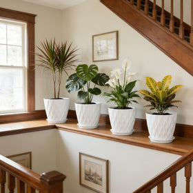 UOUZ beginner-friendly plant pot supports easy gardening
