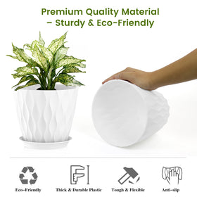 UOUZ 8-inch pot for Monstera deliciosa and figs