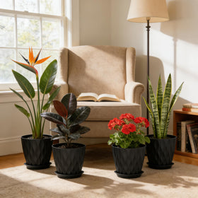 UOUZ anti-slip tray catches excess water for tidy surfaces.