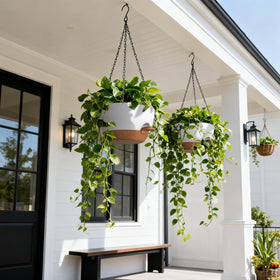 UOUZ hanging planter capillary-wick-system ensures even moisture distribution.