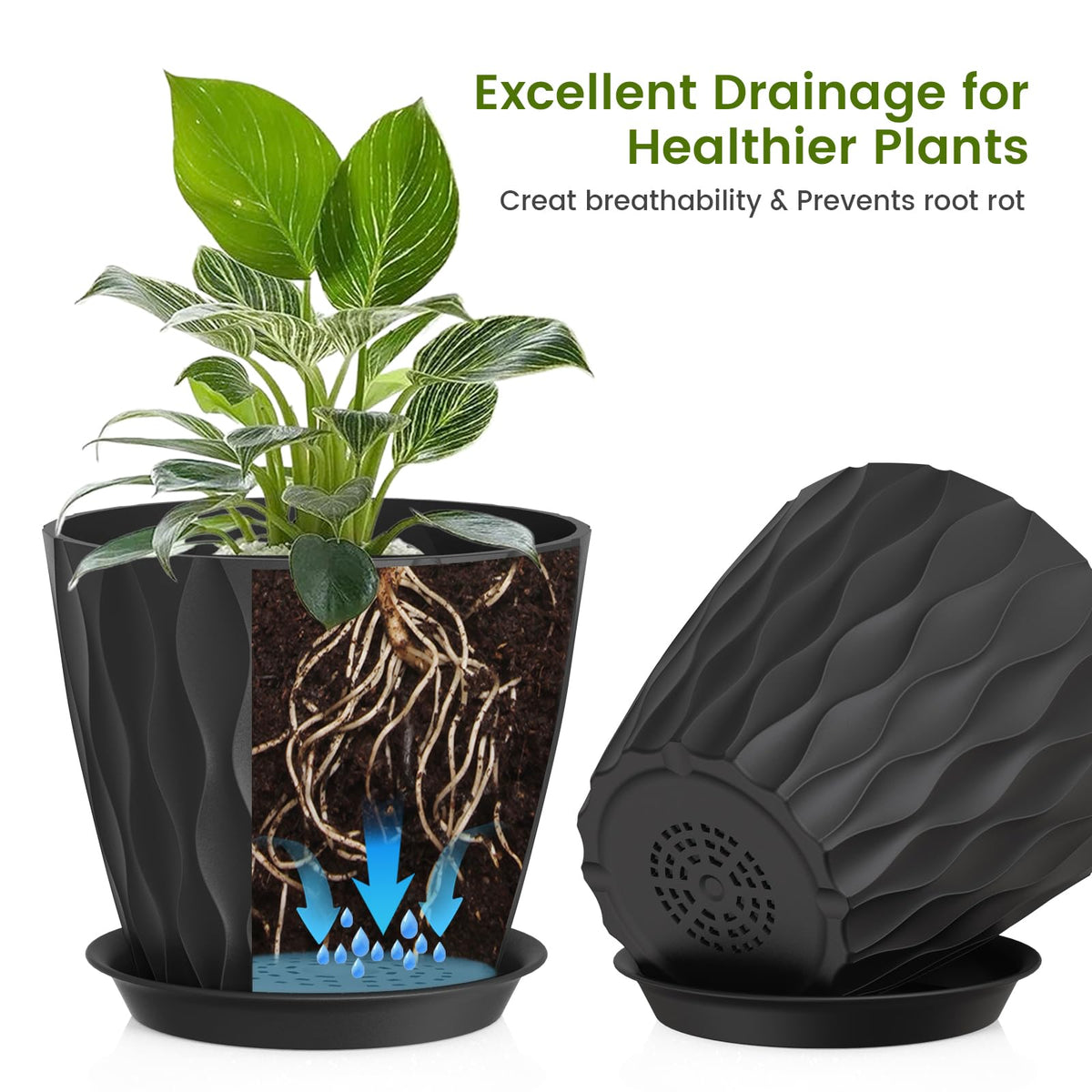 UOUZ indoor-outdoor plant pots fit monstera and fiddle-leaf fig beautifully.